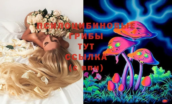 apvp Алзамай