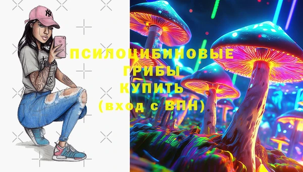 хмурый Абаза