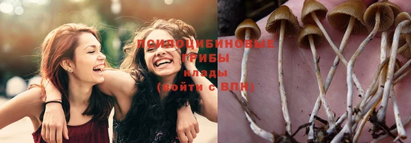 apvp Алзамай