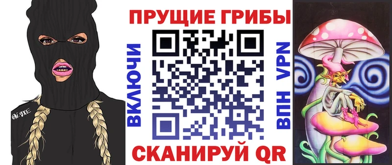 Галлюциногенные грибы Psilocybe  нарко площадка официальный сайт  Салават 