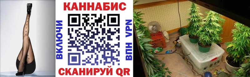 Бошки марихуана марихуана KRAKEN как зайти Салават где купить наркоту